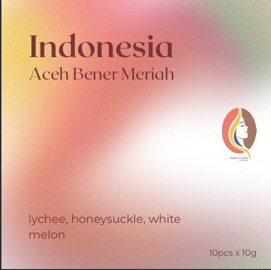 Drip Bag Aurora Dew Burgundy