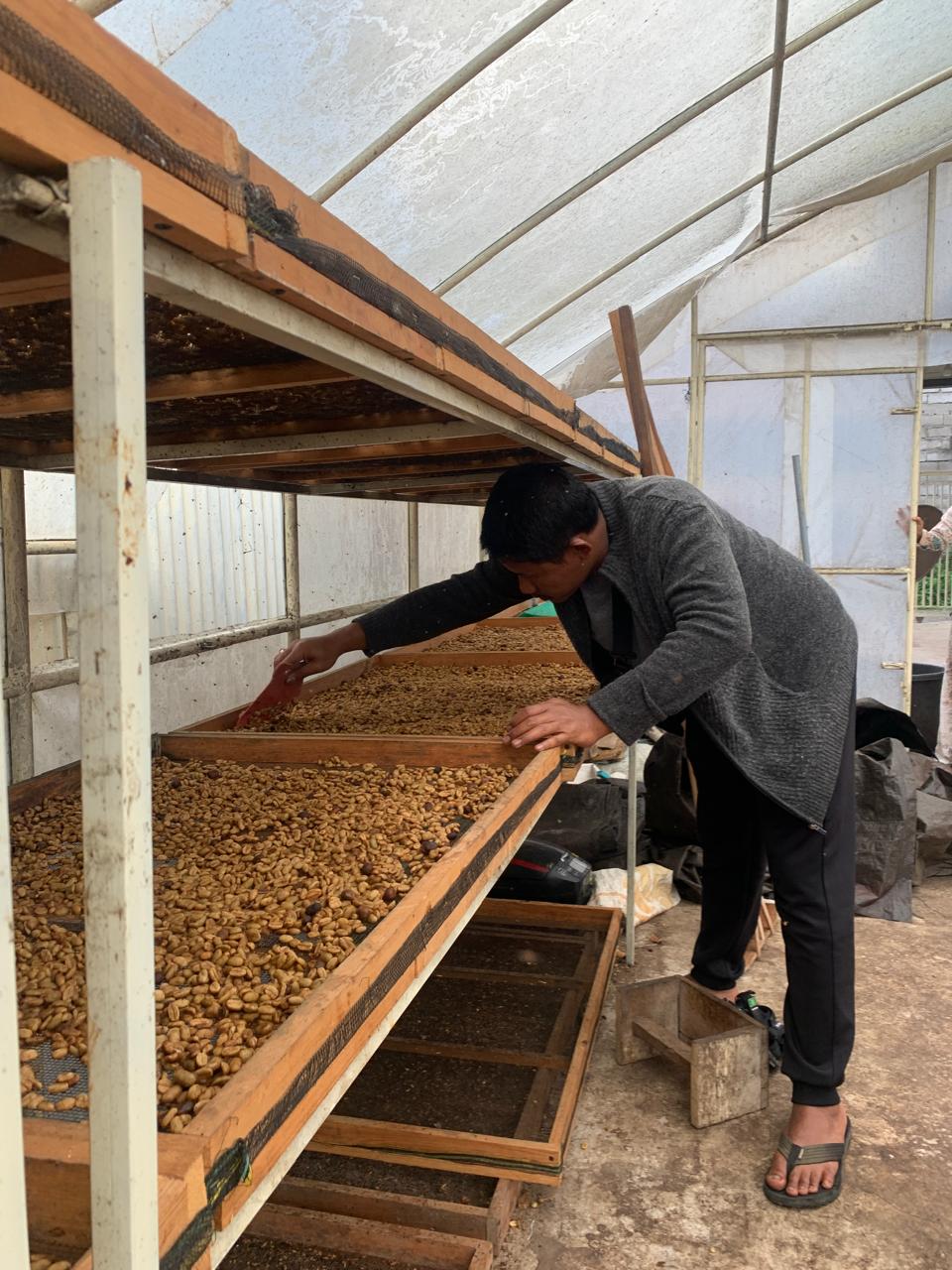 Indonesia Semendo Finca Ali HSN 126hrs