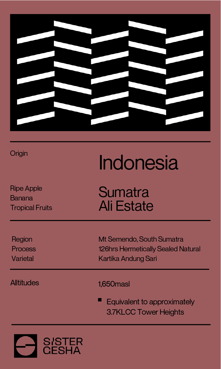 Indonesia Semendo Finca Ali HSN 126hrs