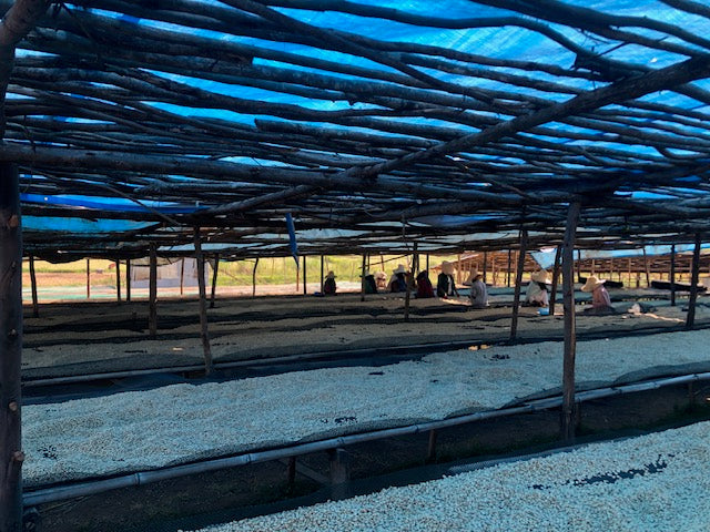 ETHIOPIA ABAKENO G1