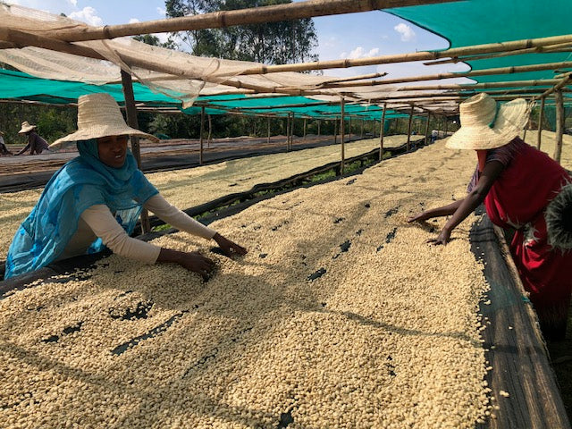 ETHIOPIA ABAKENO G1