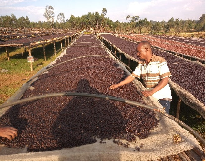 ETHIOPIA ABAKENO G1