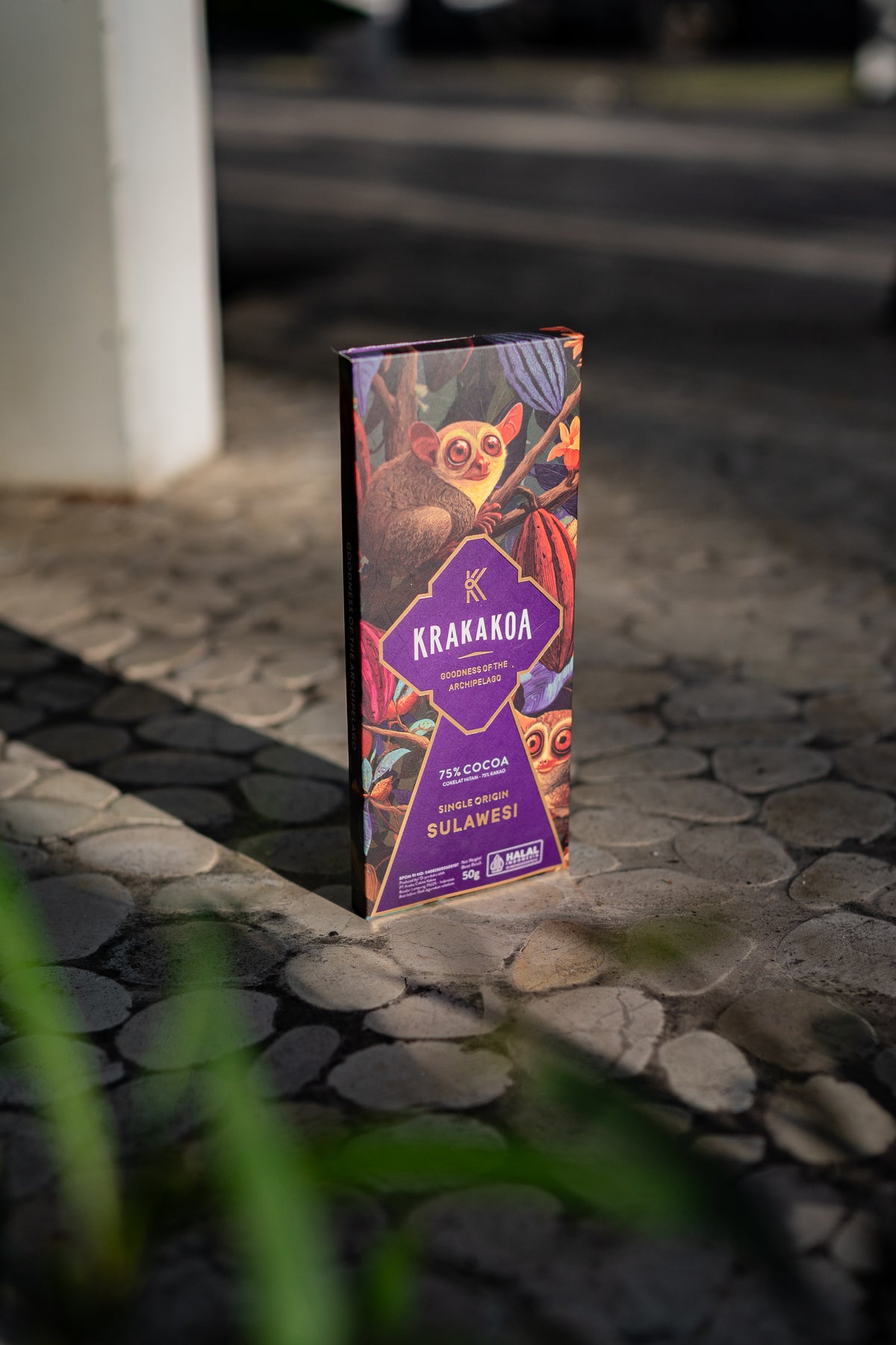 Chocolate Bar (50g)