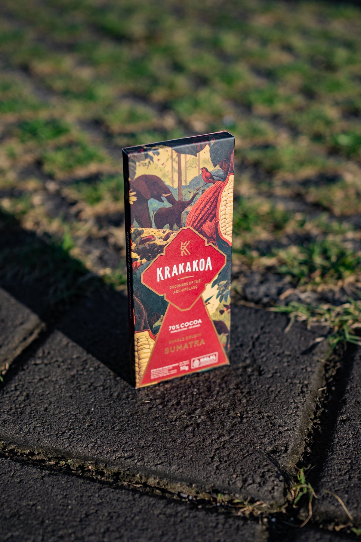 Chocolate Bar (50g)
