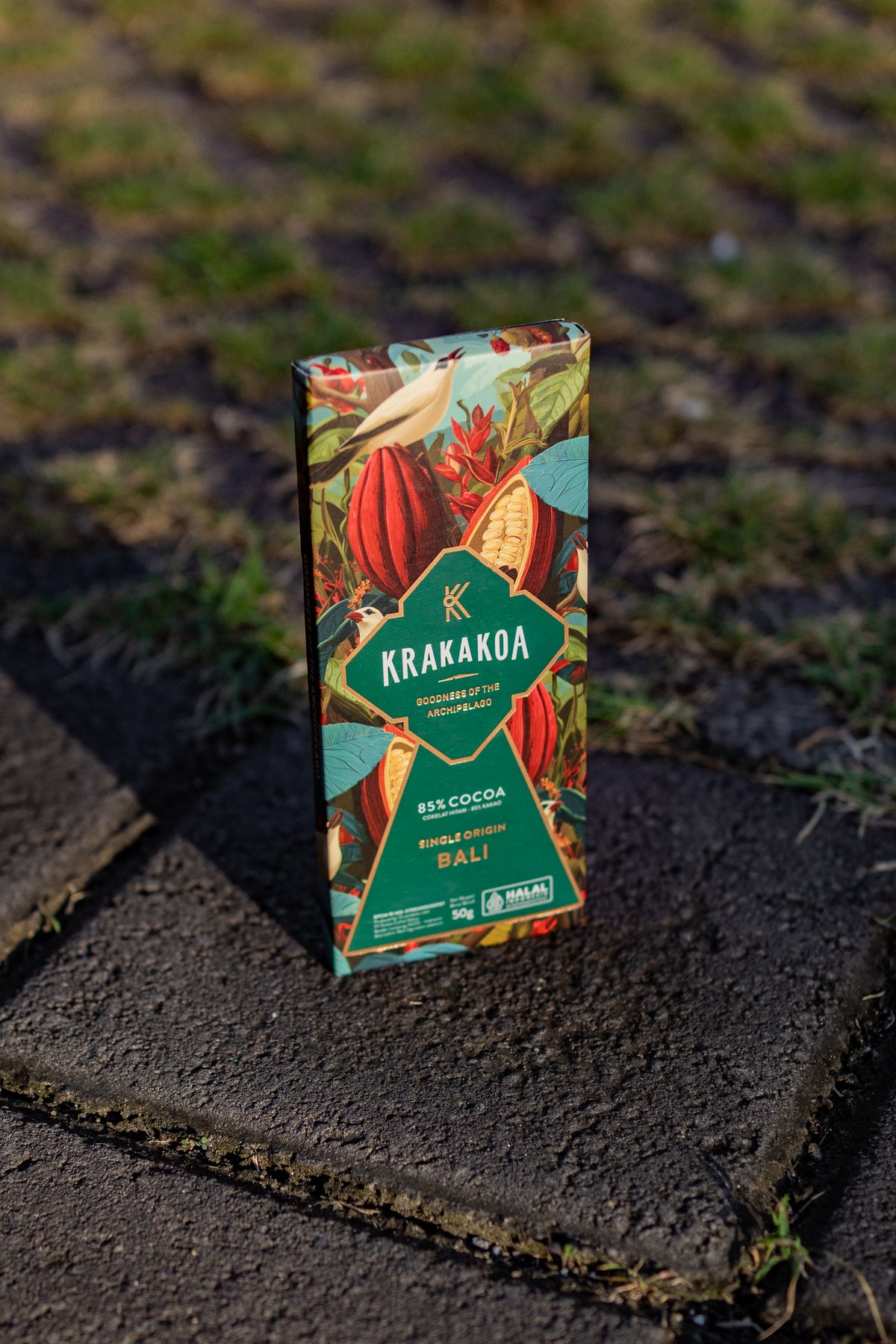 Chocolate Bar (50g)