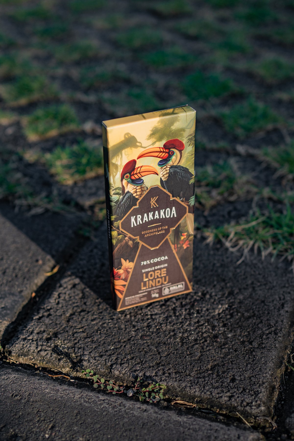 Chocolate Bar (50g)