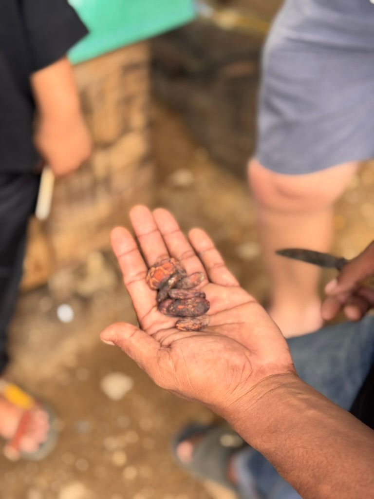 Krakakoa Drinking Chocolate Single Origin Sumatra Sedayu