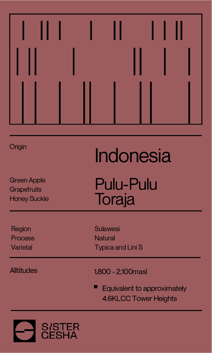 Indonesia Toraja Pulu - Pulu