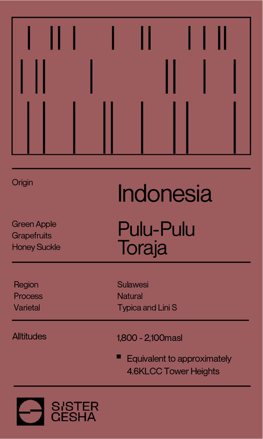 Indonesia Toraja Pulu - Pulu