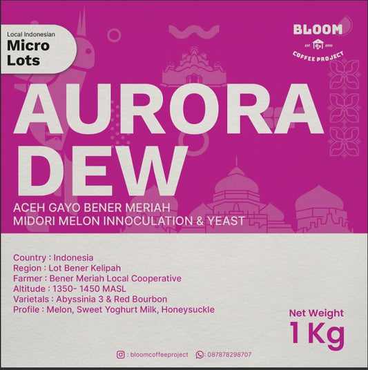 Green Beans Aurora Dew Midori
