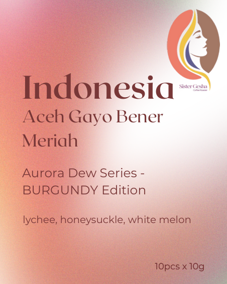 Drip Box Indonesia Aurora Dew Burgundy