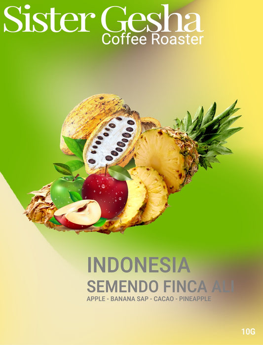 Drip Box Indonesia Semendo Finca Ali