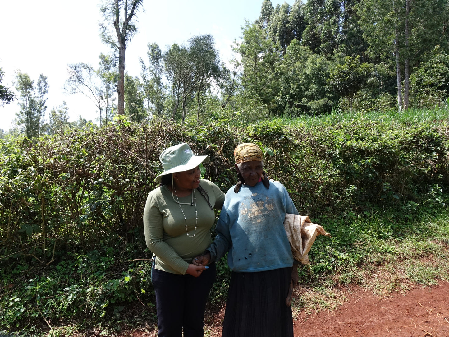 Kenya Ichamama Natural